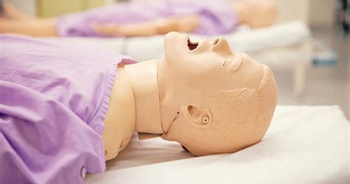 Simulation Education Program
