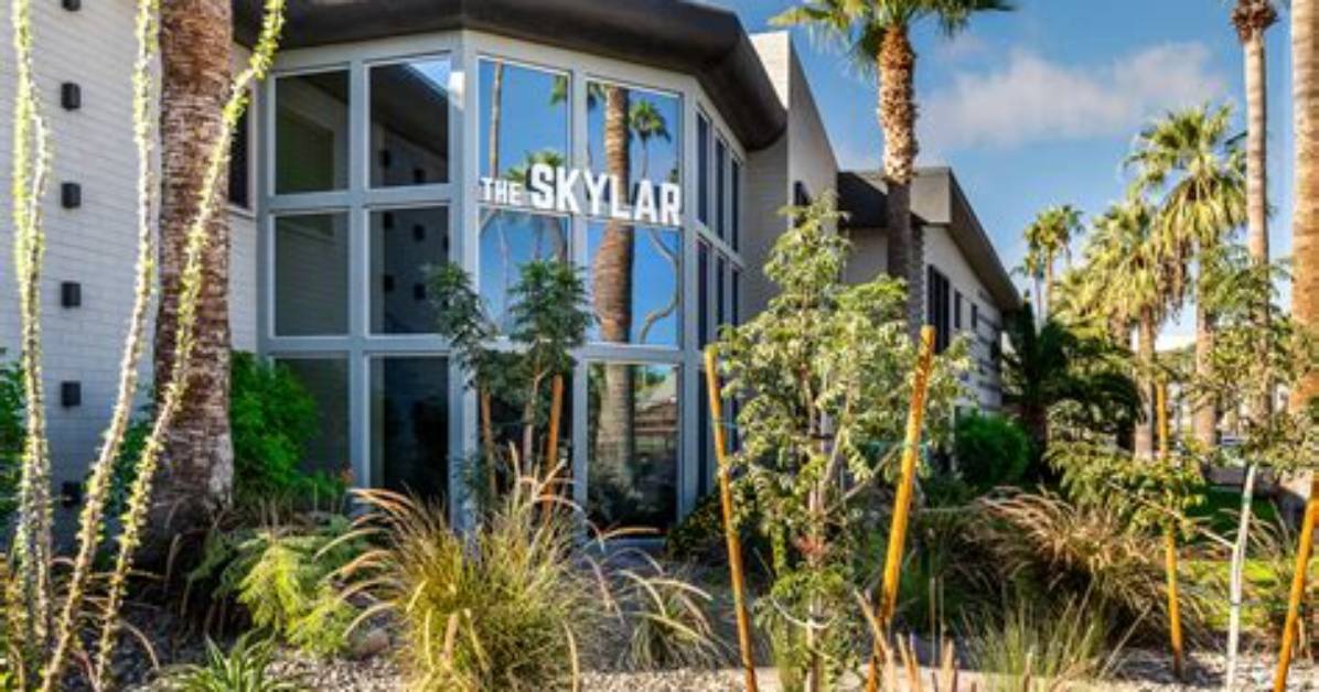 Skylar Domine Death: Scottsdale Az Startup Entrepreneur Died in a Accident