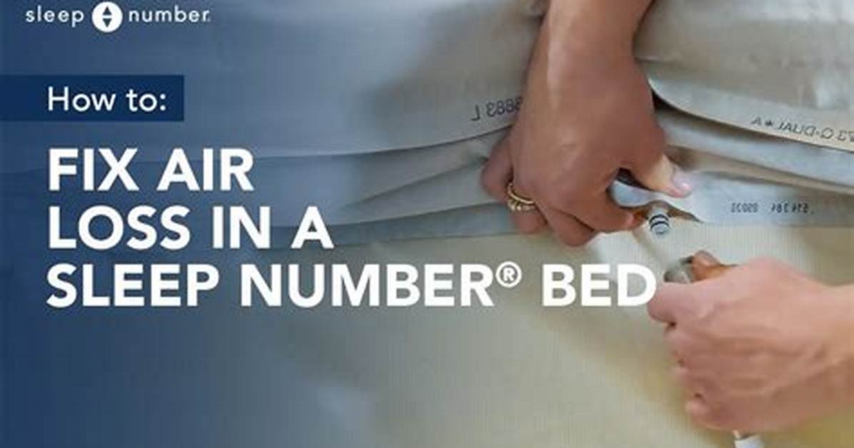 Sleep Number Bed Losing Air