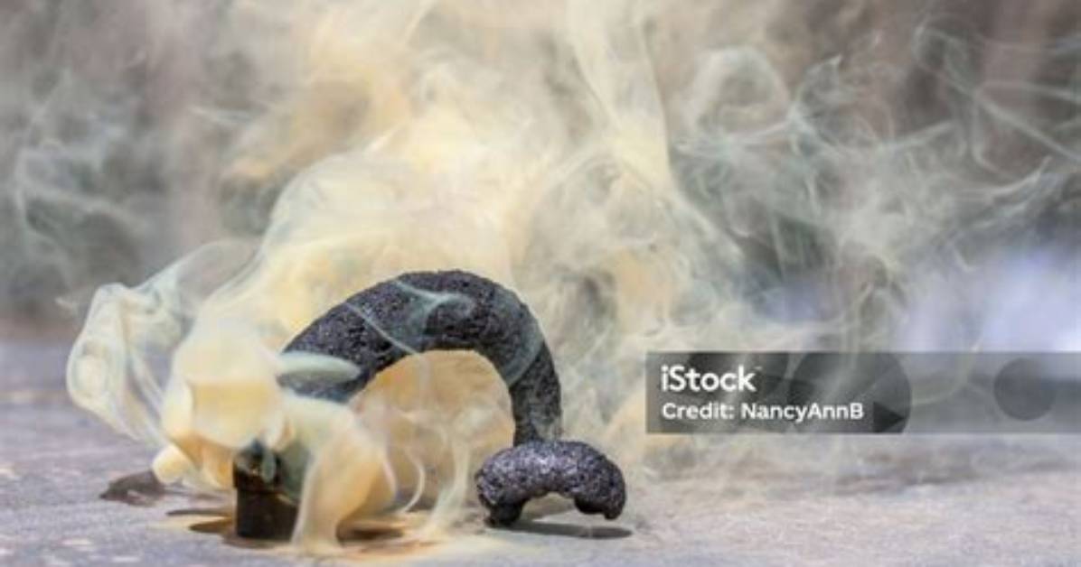Snake Firework - How to Discuss