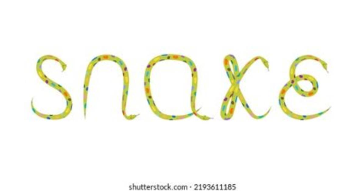 Snake Is Written By