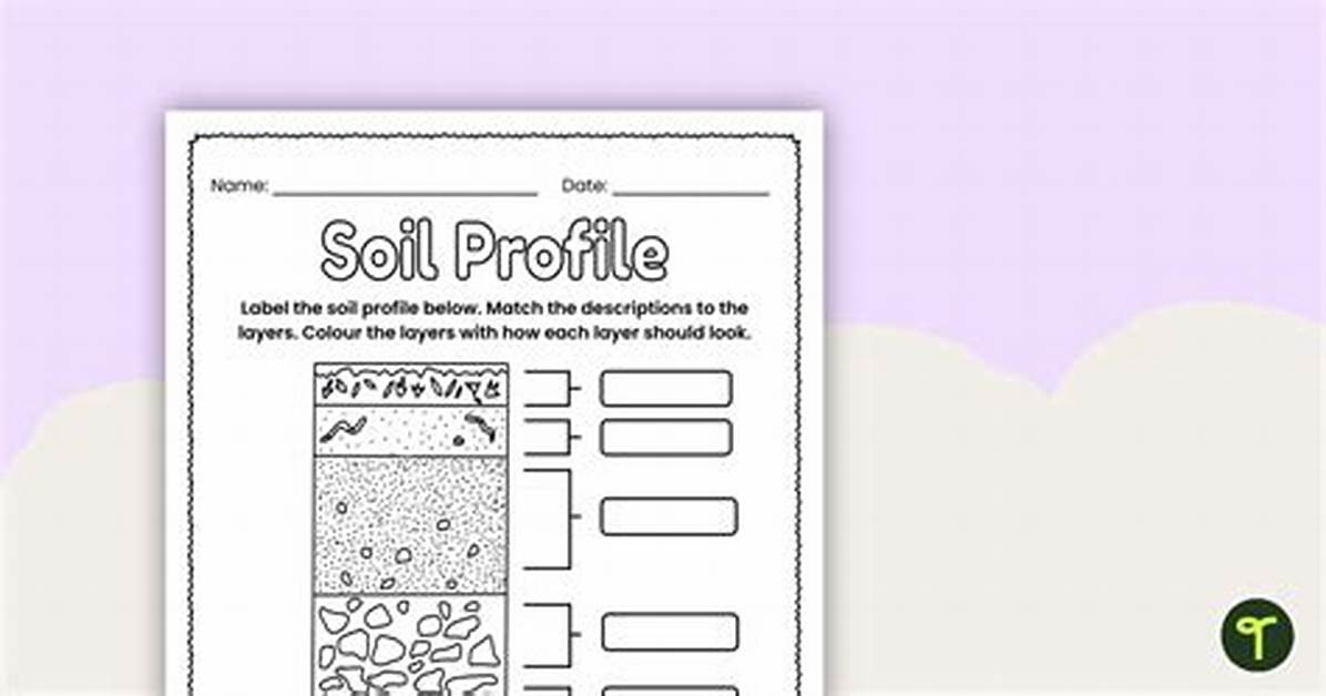 Soil Profile - Horizon Label and Name — Printable Worksheet