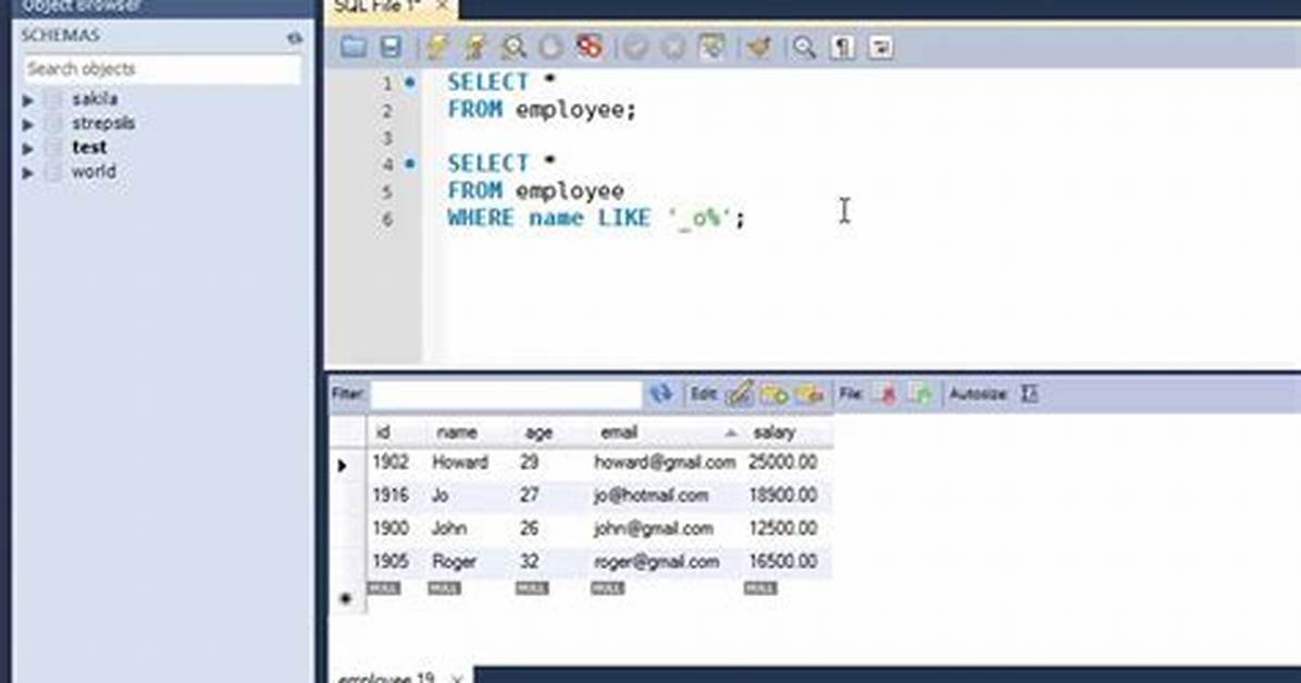 Soql Query Like Operator Not Returning Results