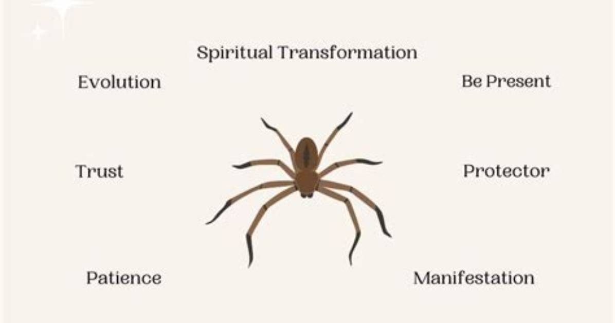 Spiritual Meaning of Spiders | Yourtango