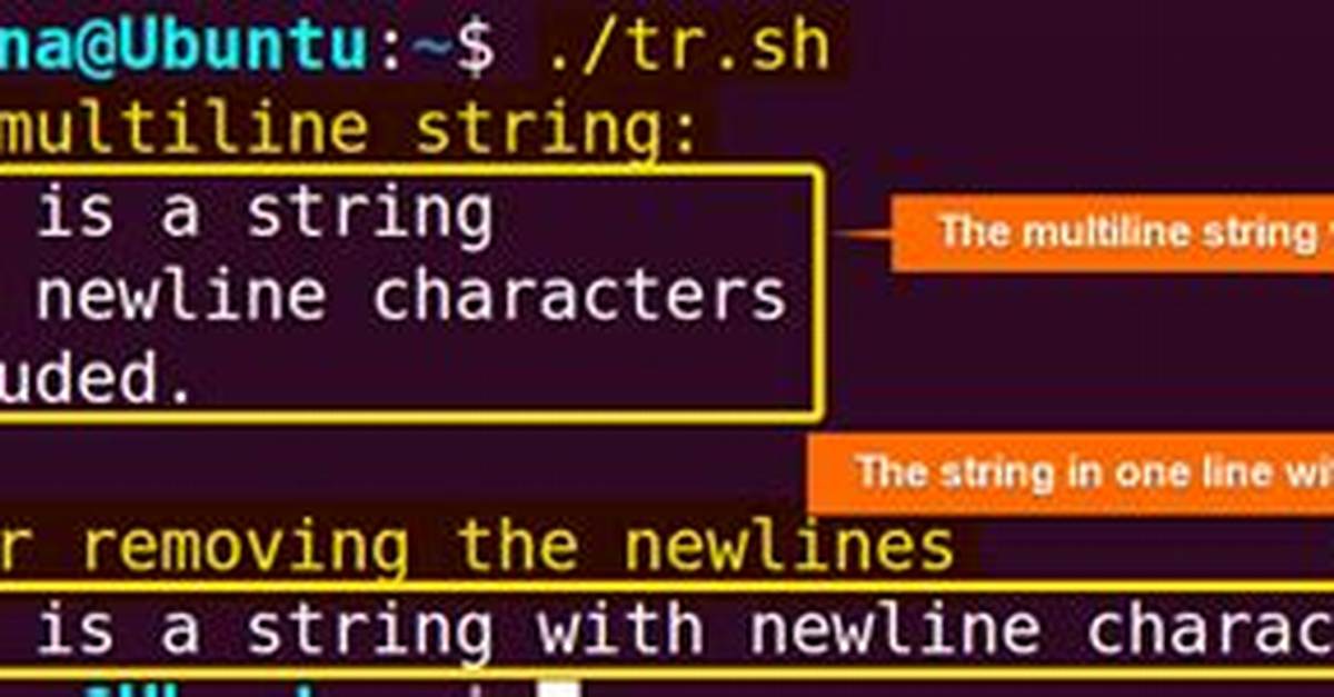 Split Bash String by Newline Characters