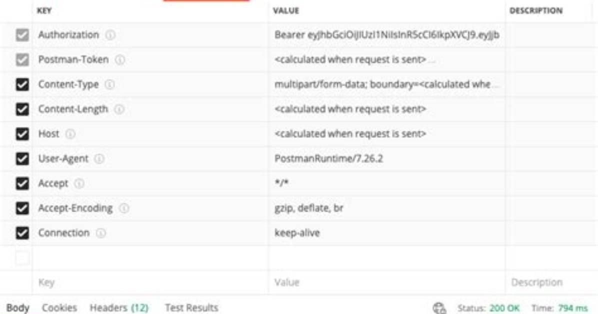 Spring/Postman Content Type 'Application/Octet-Stream' Not Supported