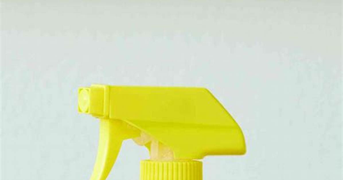 Sprinkle Oxiclean on Carpet