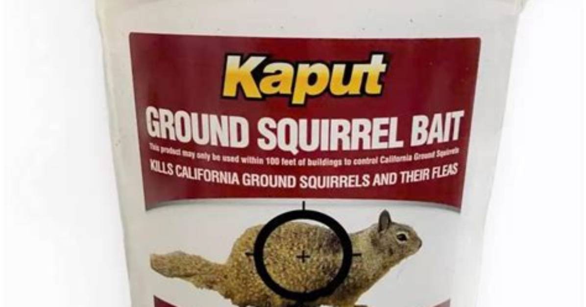 Squirrel Bait