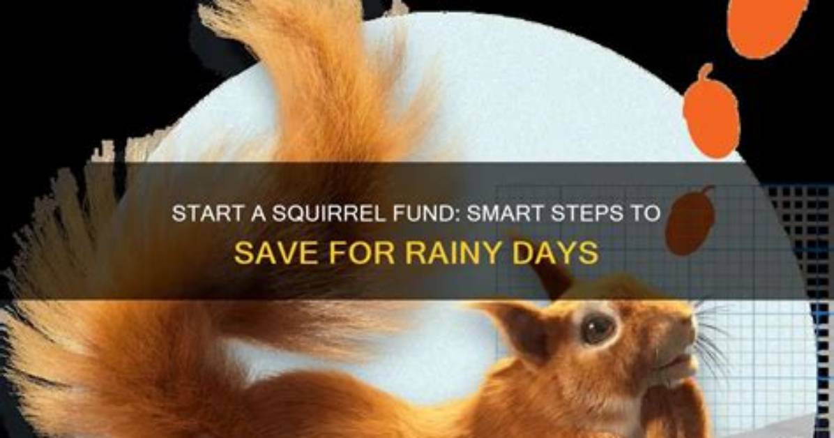 Squirrel Fund - How to Discuss