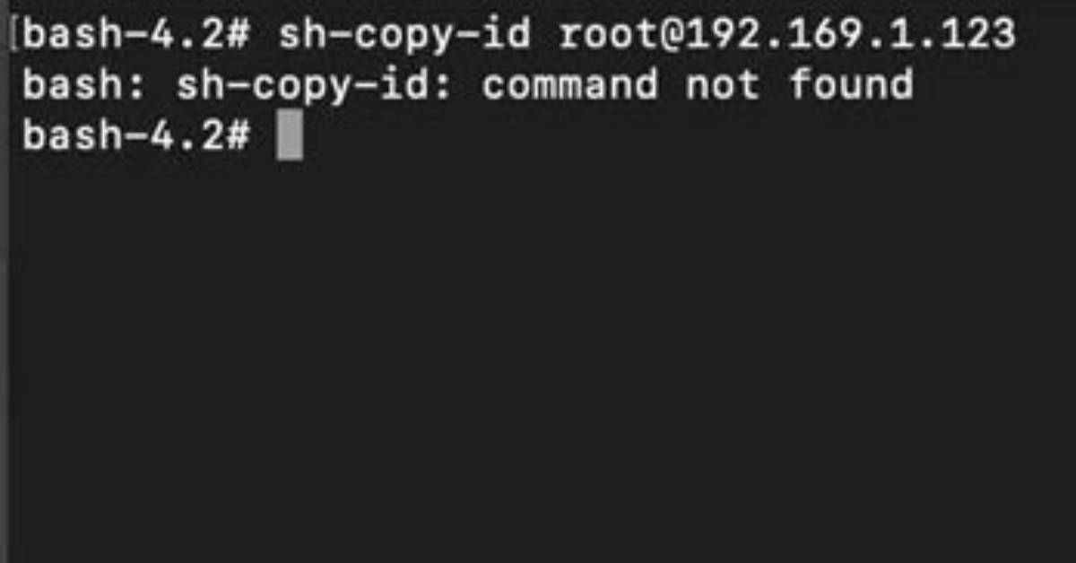 Ssh-Copy-Id No Identities Found Error