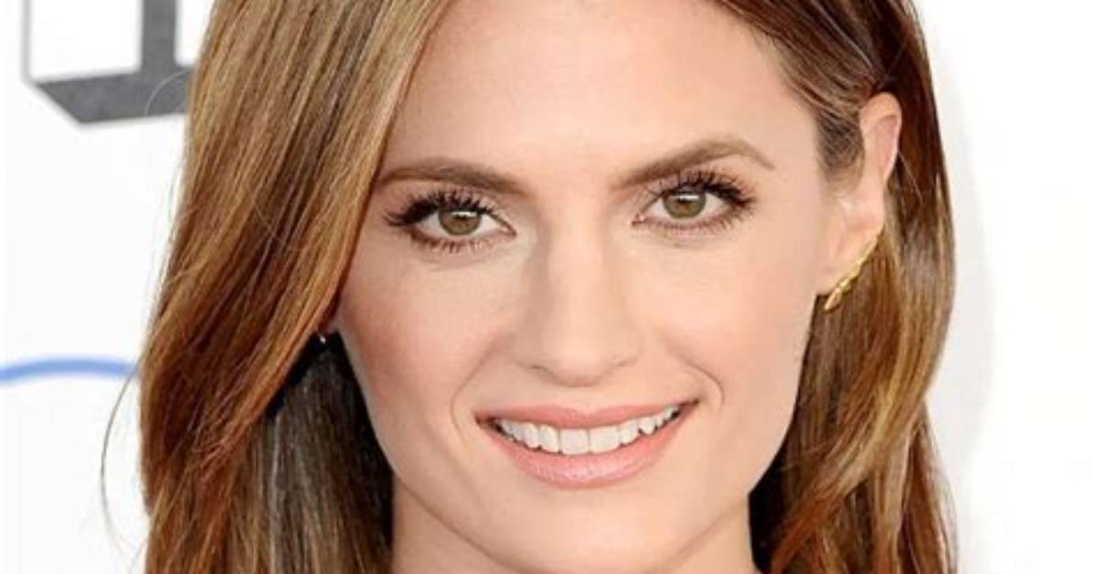 Stana Katic Net Worth