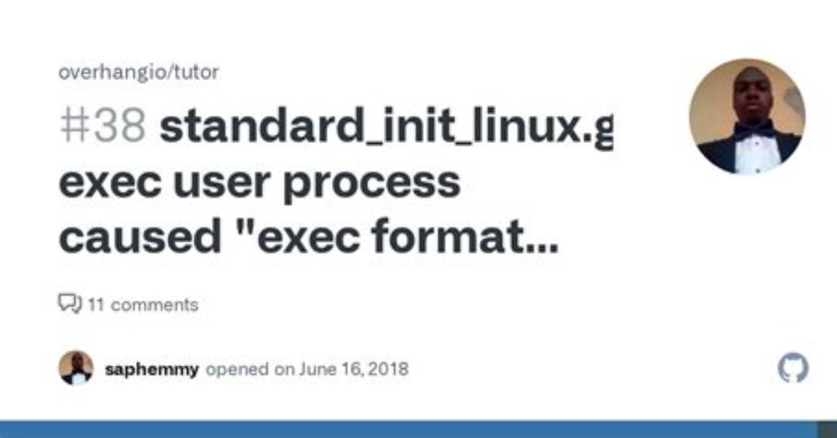 Standard_Init_Linux. Go:178: Exec User Process Caused "Exec Format Error"