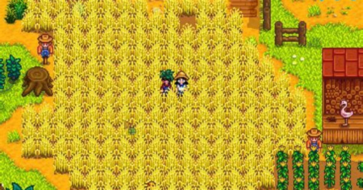 Stardew Valley: How to Get Hay