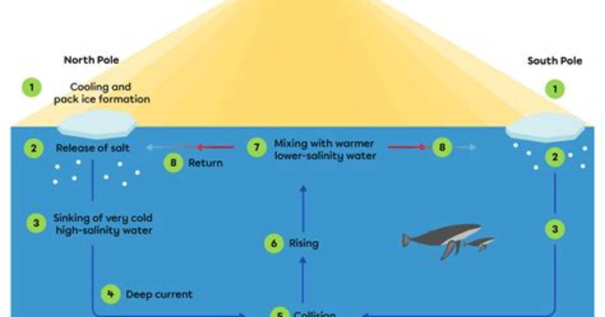 State How a Deep Current Forms