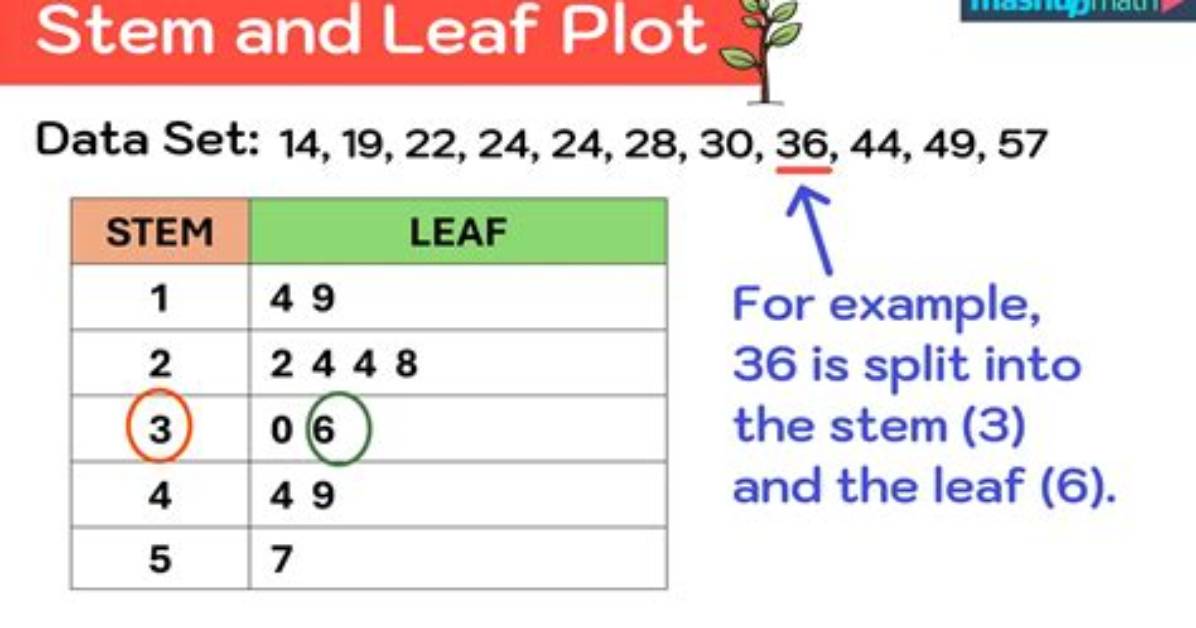 Stem and Leaf Plot for Strongly Skewed Data