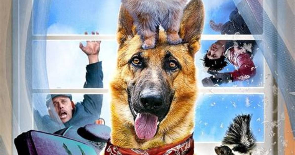 Step Dogs (2013 Film) - Members Profile, Facts, Wiki, Achievements, Net Worth 2024 (Updated)