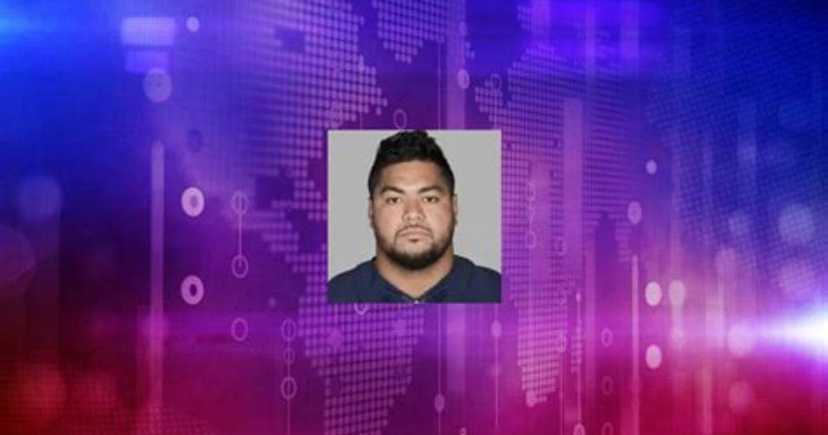 Stephen Paea Net Worth