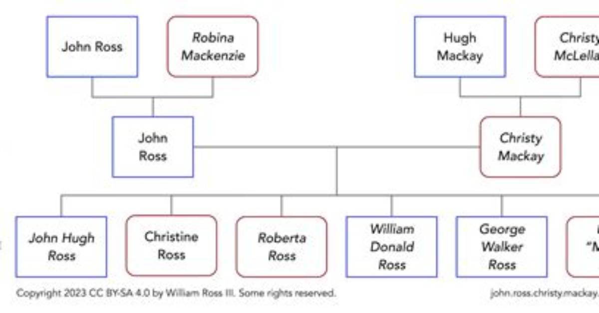 Stephen Ross – Family, Family Tree