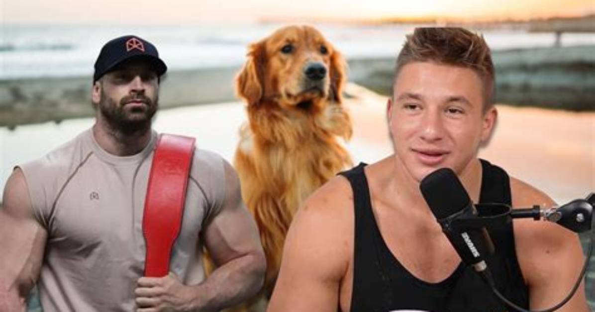 Stevewilldoit