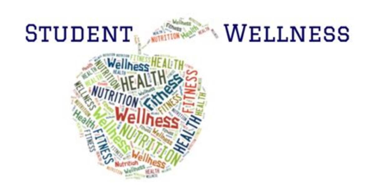 Student Wellness Program Overview