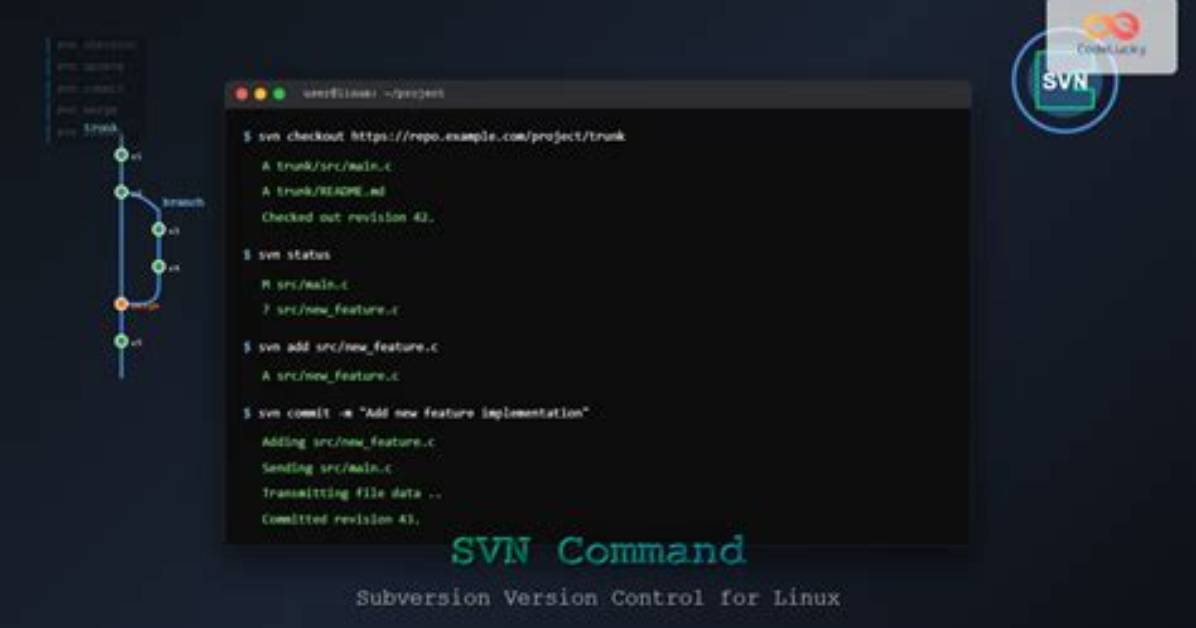 Svn Commit Command
