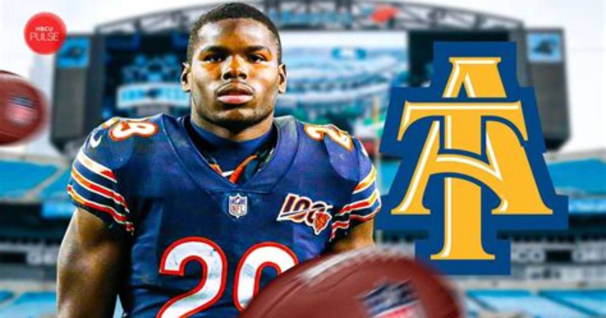 Tarik Cohen