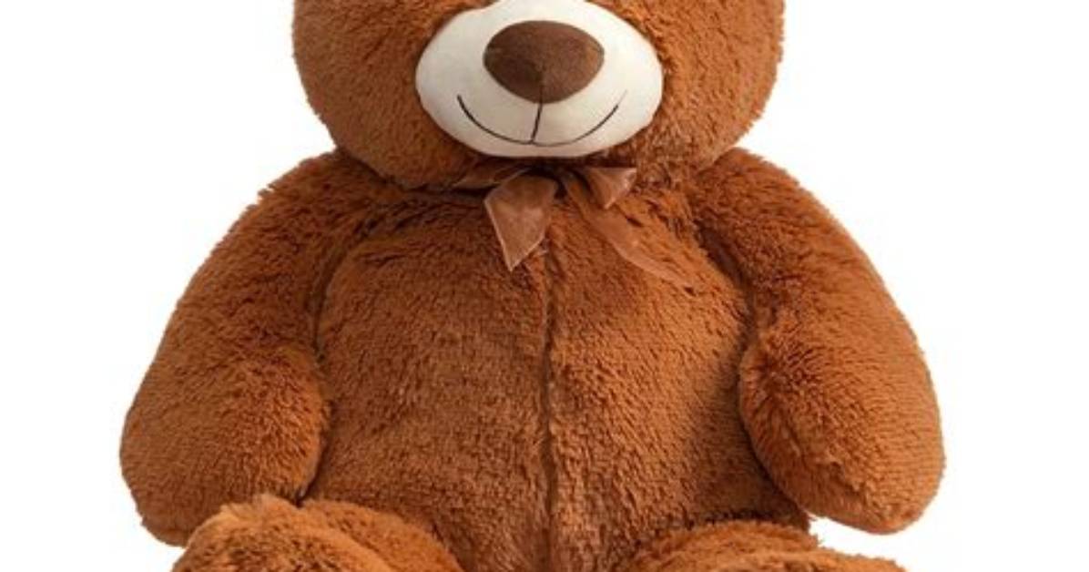 Teddy Brown
