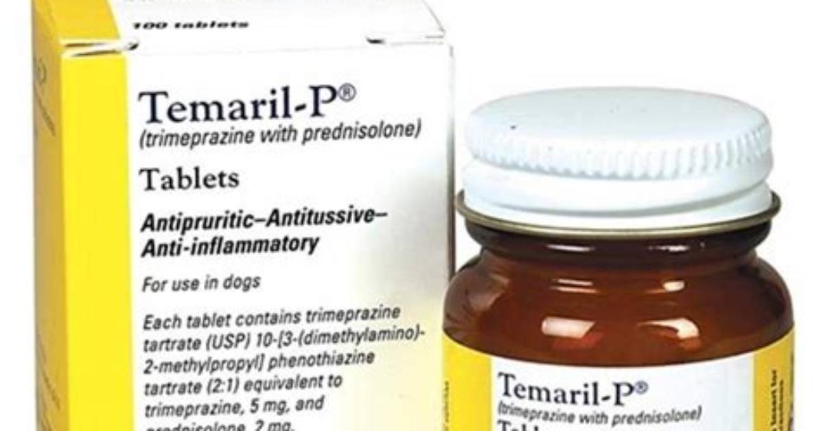 Temaril P Side Effects Panting