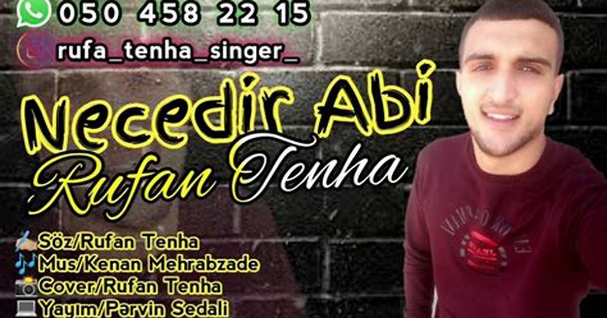 Tenha Net Worth