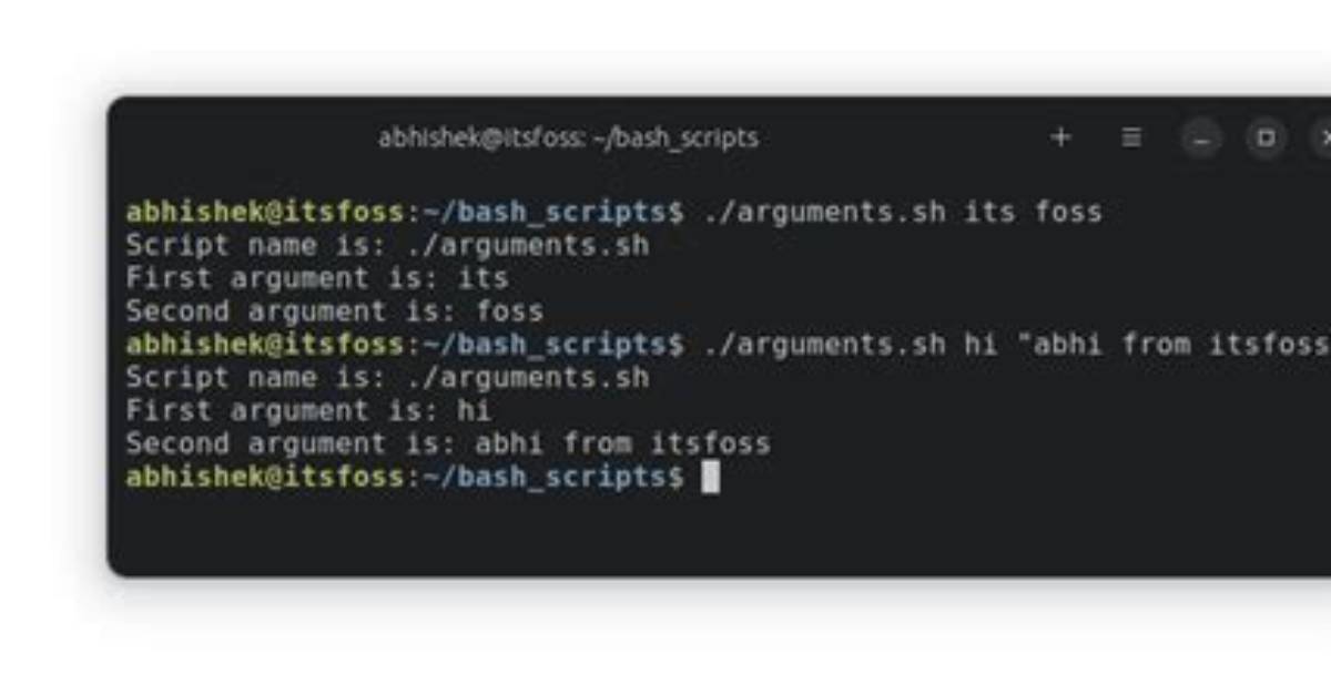 Testing User Input Arguments to a Bash Function