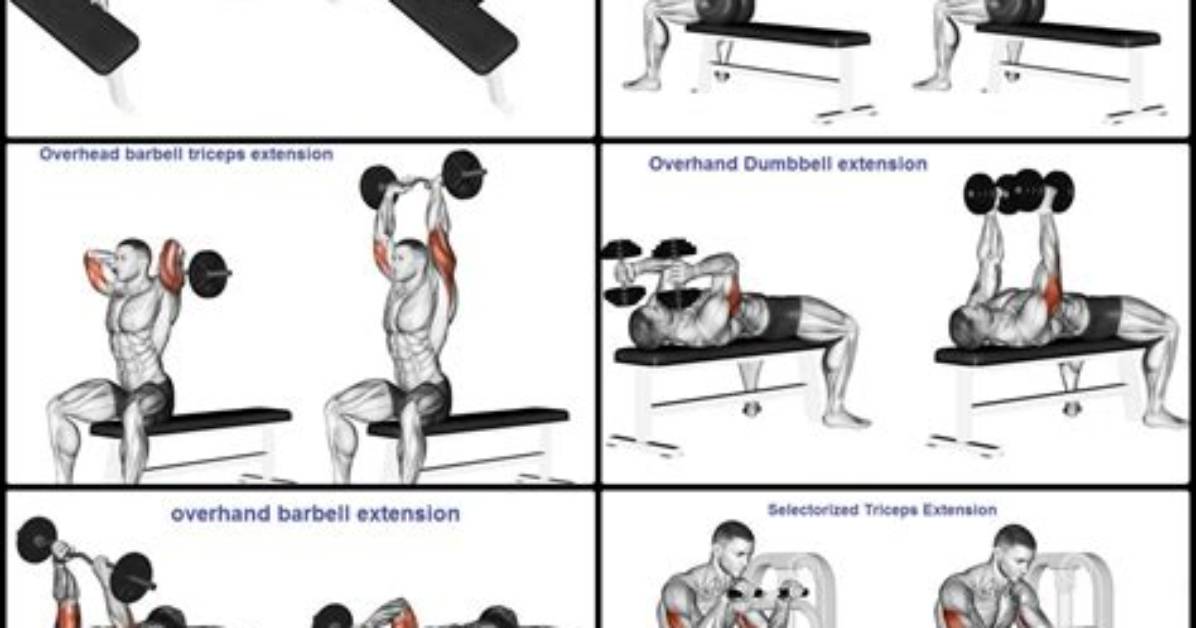 The 6 Best Bicep and Tricep Exercises for Mass