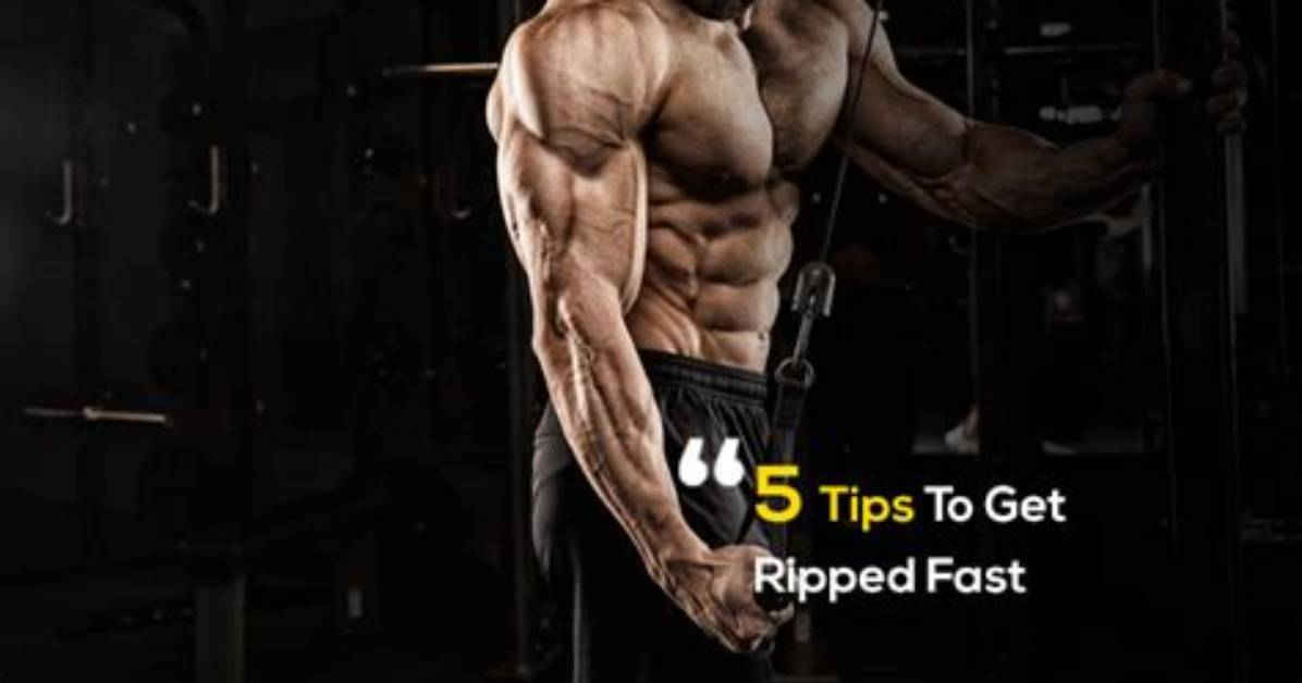 The Basics of Building Muscle | 5 Tips to Get Ripped Fast