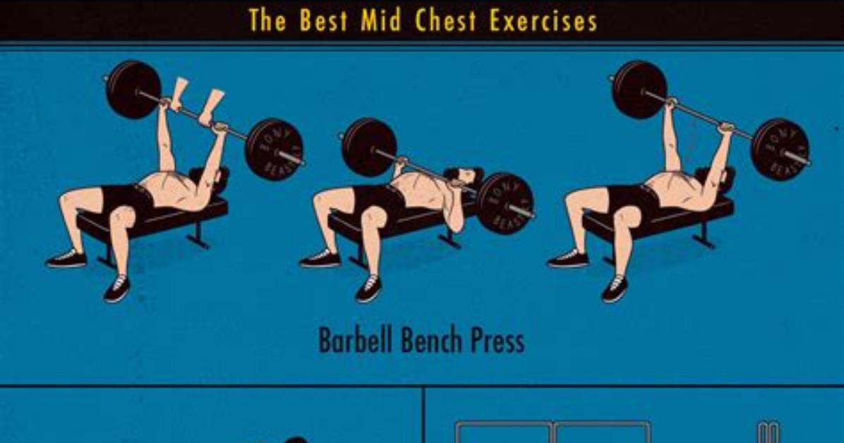The Best Chest Exercises for Mass and Muscle