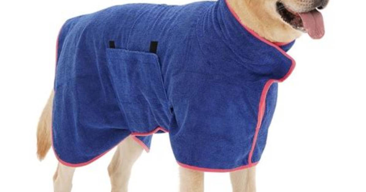 The Best Dog Dressing Gowns for Drying off — Dog Drying Coat