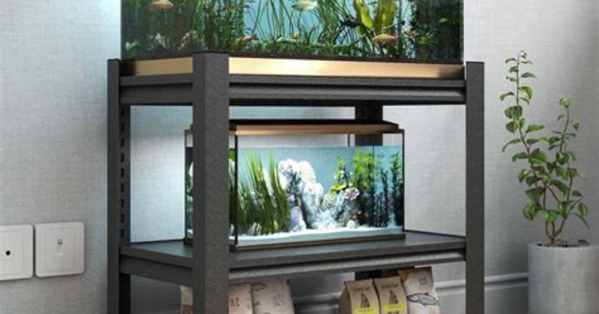 The Best-Fish Tank Stand