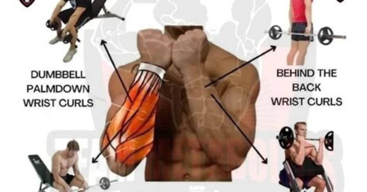 The Best Forearm Exercises | 5 Exercises for Building Mass