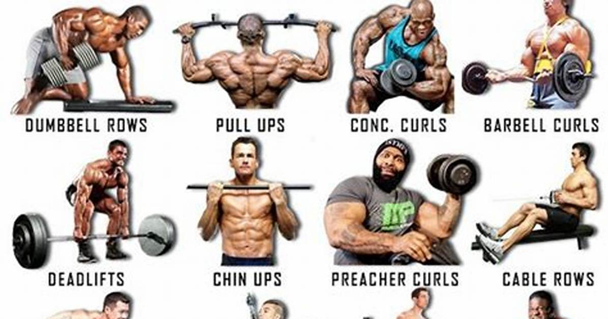 The Best Pull Exercises | Myprotein Us