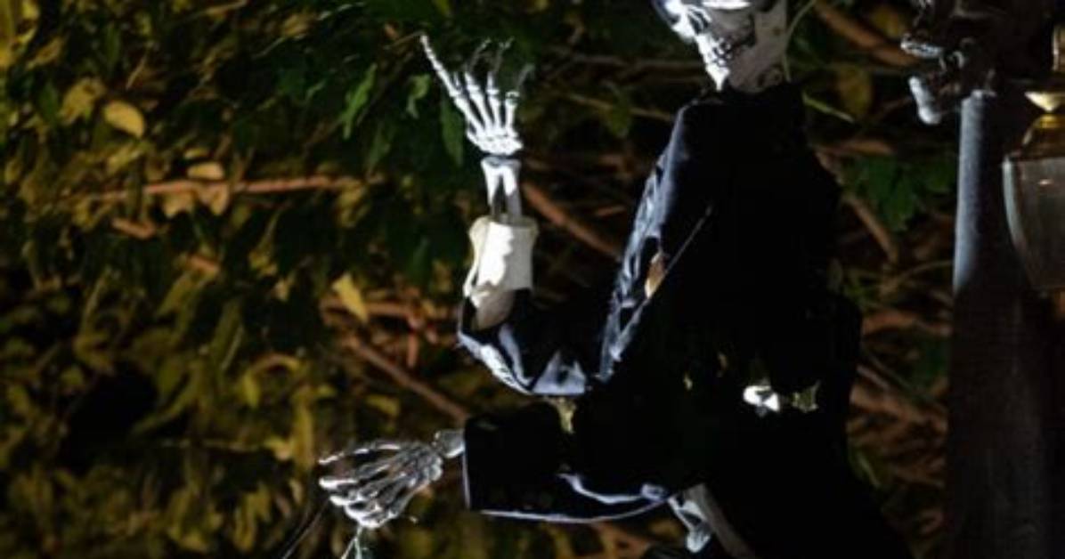 👻 the Davis Haunt Halloween Decorations and Display