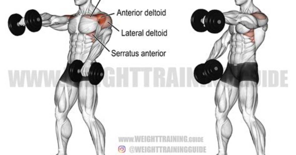 The Dumbbell Front Raise Exercise | Form & Technique