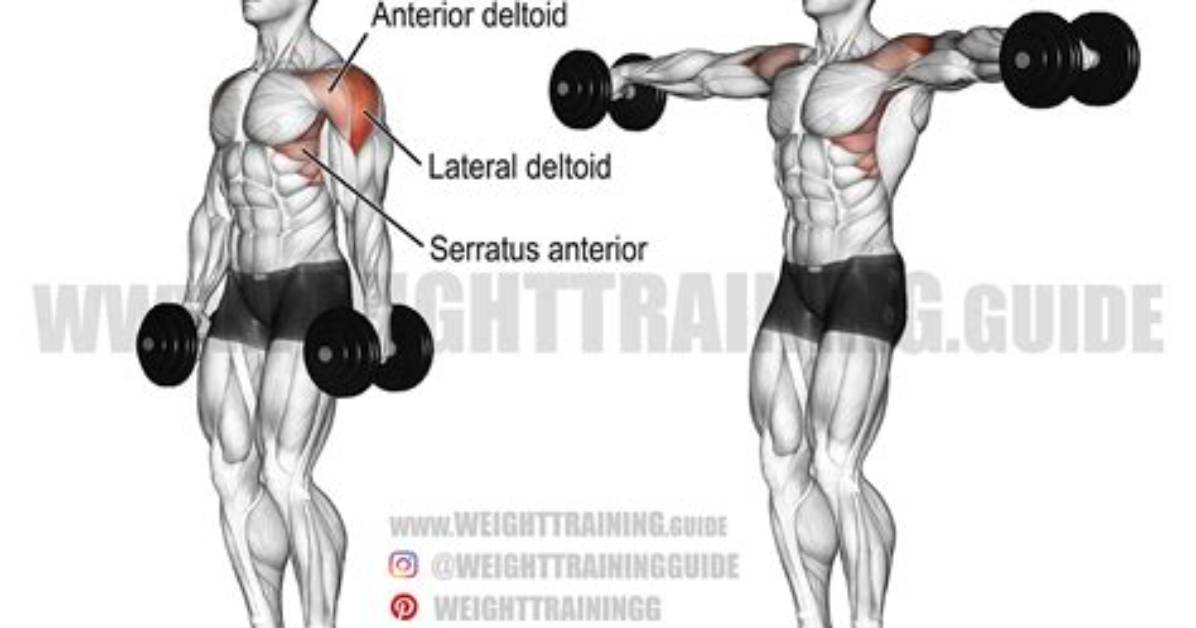 The Dumbbell Lateral Raise Exercise | Proper Form & Technique