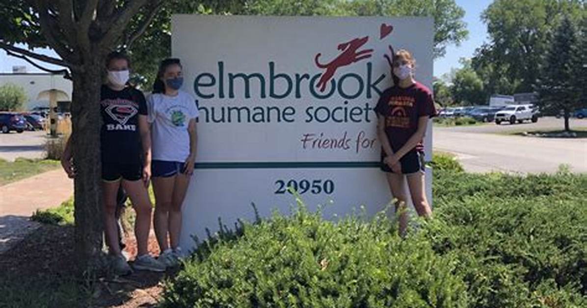 The Elmbrook Humane Society - Espressocoder
