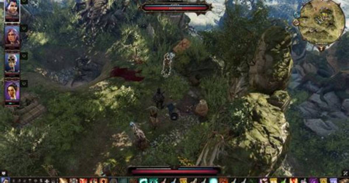 The Elven Seer, Divinity: Original Sin 2 Quest