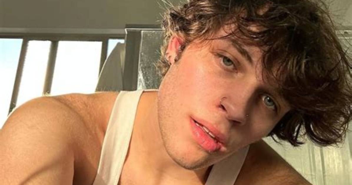 "The Gay Triplet" Nicolas Sturniolo Had to Privately Dm an Accuser on Twitter