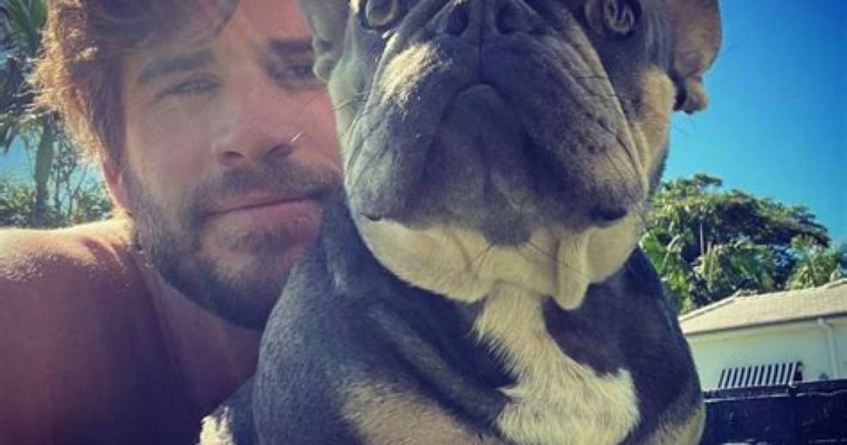 The Hottest Celebrity Dog Dads