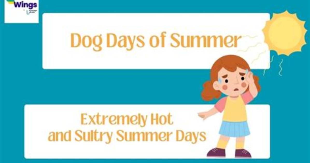 The Meaning of Summer Days by Georgia O'keeffe