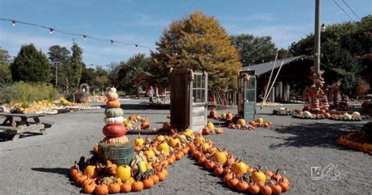 🎃 the Pumpkin Walk at Creekside Gardens