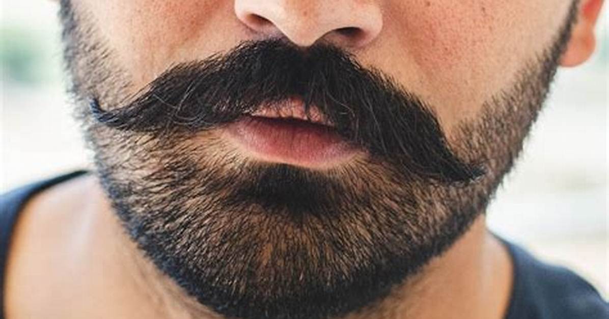 The Stubble to the Beard Stache: 6 of the Trendiest Beard Styles Right Now