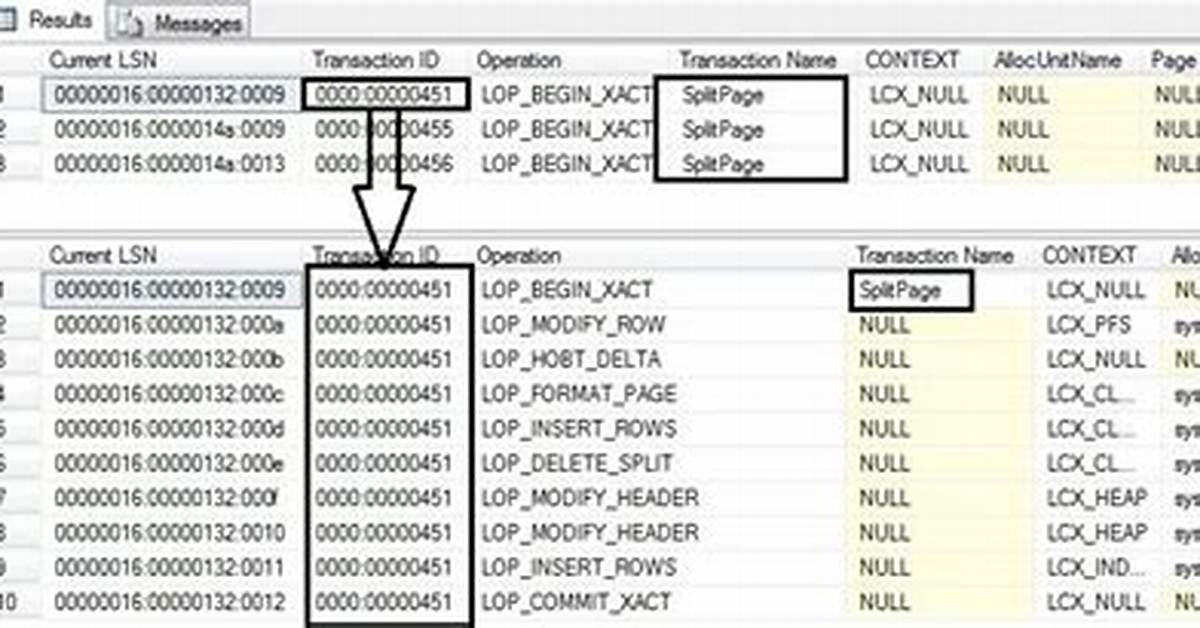 The Transaction Log for the Database Is Full