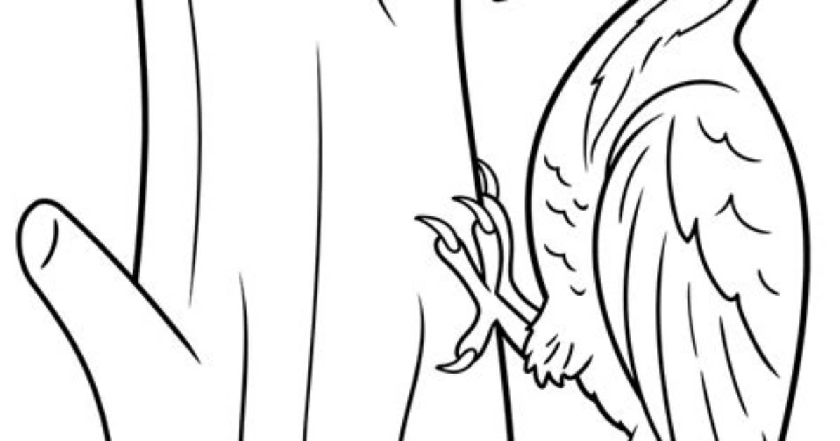 The Woodpecker Page