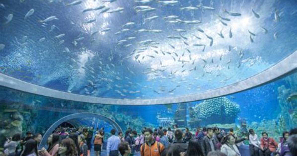 The World’s Largest Aquarium Opens in Singapore